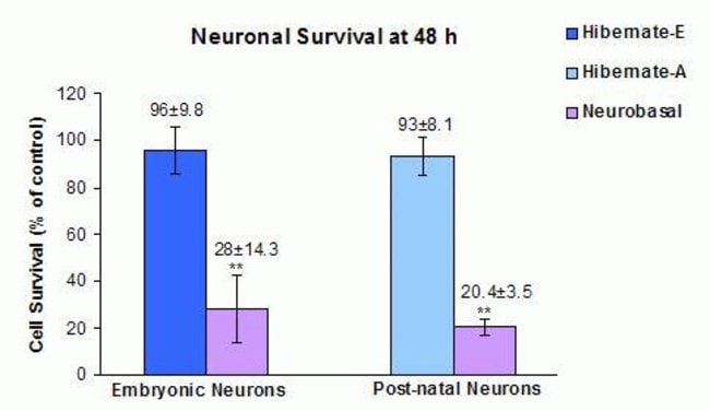 Figure 3: Neuronal Survival at 48h: